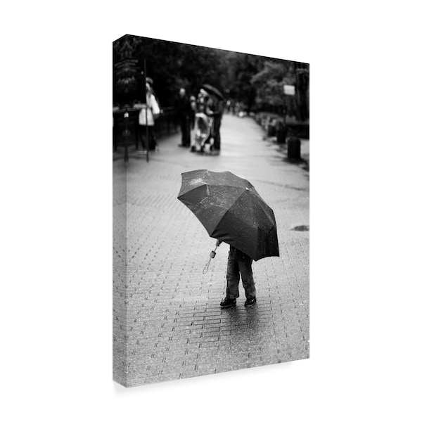 Liesbeth Van Der 'Rainy Day Umbrella' Canvas Art,30x47